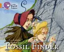 Buscador de fósiles - Fossil Finder