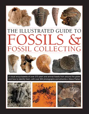 Guía ilustrada de fósiles y coleccionismo de fósiles: Guía de referencia de más de 375 fósiles de plantas y animales de todo el mundo y cómo identificarlos - The Illustrated Guide to Fossils & Fossil Collecting: A Reference Guide to Over 375 Plant and Animal Fossils from Around the Globe and How to Identify