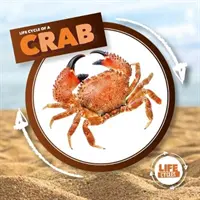 Cangrejo - Crab