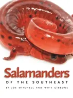 Salamandras del sudeste - Salamanders of the Southeast