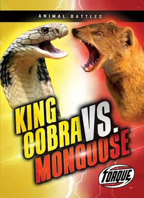 Rey Cobra contra Mangosta - King Cobra vs. Mongoose