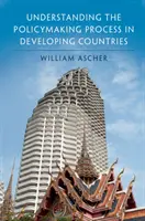 Comprender el proceso de formulación de políticas en los países en desarrollo - Understanding the Policymaking Process in Developing Countries
