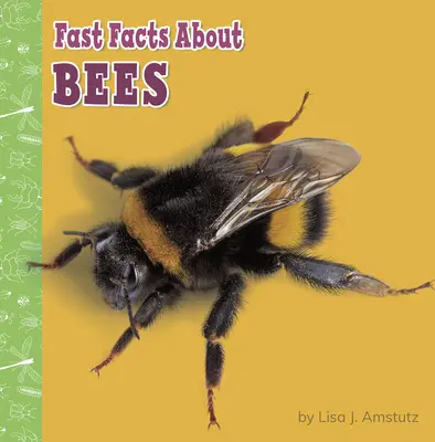 Datos básicos sobre las abejas - Fast Facts about Bees