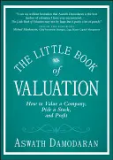 El pequeño libro de la valoración: Cómo valorar una empresa, elegir una acción y obtener beneficios - The Little Book of Valuation: How to Value a Company, Pick a Stock, and Profit