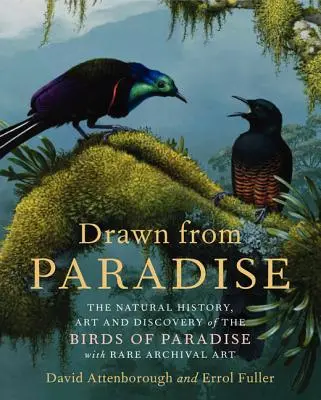 Dibujos del Paraíso: La historia natural, el arte y el descubrimiento de las aves del paraíso con raras obras de arte de archivo - Drawn from Paradise: The Natural History, Art and Discovery of the Birds of Paradise with Rare Archival Art