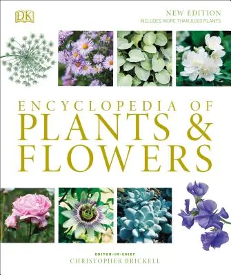 Enciclopedia de plantas y flores - Encyclopedia of Plants and Flowers
