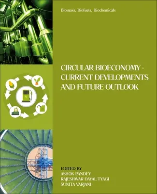 Biomasa, biocombustibles y bioquímica: Bioeconomía circular: avances actuales y perspectivas de futuro - Biomass, Biofuels, Biochemicals: Circular Bioeconomy--Current Developments and Future Outlook