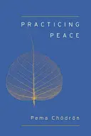 Practicar la paz (Shambhala Pocket Classic) - Practicing Peace (Shambhala Pocket Classic)