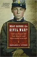 ¿Qué causó la Guerra Civil? Reflexiones sobre el Sur y la Historia del Sur - What Caused the Civil War?: Reflections on the South and Southern History