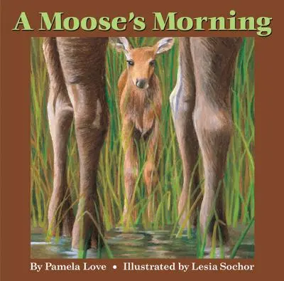 La mañana de un alce - A Moose's Morning