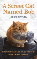 Street Cat Named Bob - Cómo un hombre y su gato encontraron esperanza en las calles - Street Cat Named Bob - How one man and his cat found hope on the streets