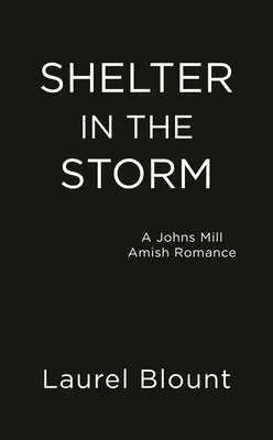 Refugio en la tormenta - Shelter in the Storm