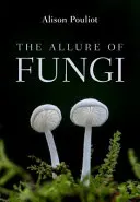 El encanto de los hongos - The Allure of Fungi