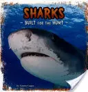 Tiburones - Construidos para la caza - Sharks - Built for the Hunt