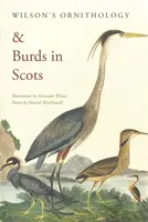 Ornitología de Wilson & Burds en escocés - Wilson's Ornithology & Burds in Scots