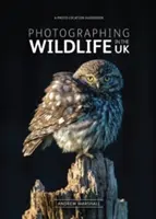 Fotografiar la vida salvaje en el Reino Unido - Dónde y cómo tomar magníficas fotografías de la vida salvaje - Photographing Wildlife in the UK - Where and How to Take Great Wildlife Photographs