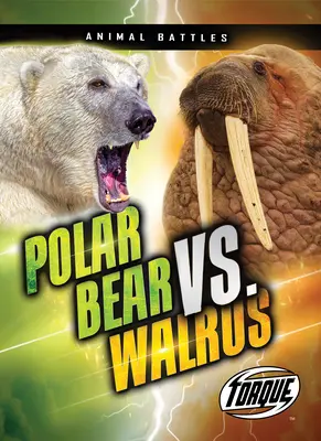 Oso polar contra morsa - Polar Bear vs. Walrus