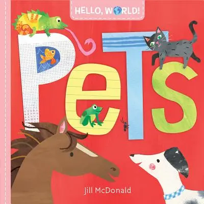 ¡Hola, Mundo! Mascotas - Hello, World! Pets