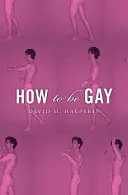 Cómo ser gay - How to Be Gay