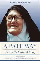 Un camino bajo la mirada de María: Biografía de Sor María Lucía de Jesús y del Inmaculado Corazón - A Pathway under the Gaze of Mary: Biography of Sister Maria Lucia of Jesus and the Immaculate Heart