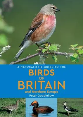 Guía Naturalista de las Aves de Gran Bretaña y el Norte de Europa - A Naturalist's Guide to the Birds of Britain & Northern Europe