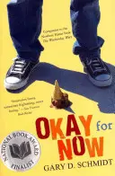 De acuerdo por ahora - Okay for Now