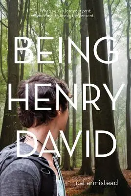 Ser Henry David - Being Henry David