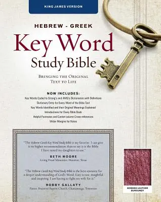 Biblia de Estudio de las Palabras Clave en Hebreo-Griego-KJV: Claves de la Palabra de Dios - Hebrew-Greek Key Word Study Bible-KJV: Key Insights Into God's Word