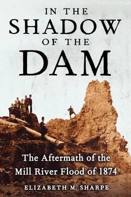 A la sombra de la presa: las consecuencias de la crecida del río Mill en 1874 - In the Shadow of the Dam: The Aftermath of the Mill River Flood of 1874