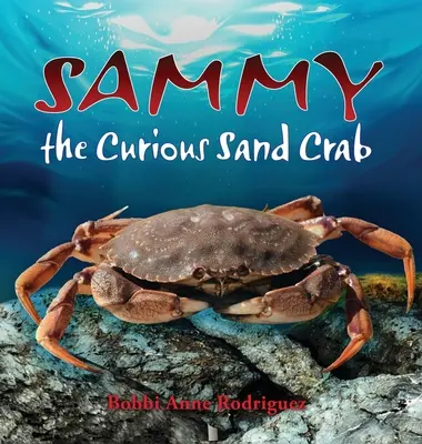 Sammy, el curioso cangrejo de arena - Sammy the Curious Sand Crab