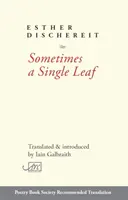 A veces una sola hoja - Sometimes a Single Leaf