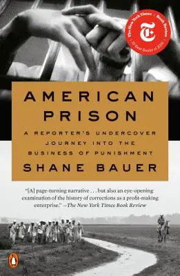 American Prison: El viaje clandestino de un reportero al negocio del castigo - American Prison: A Reporter's Undercover Journey Into the Business of Punishment