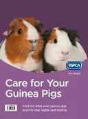 Cuidados para sus cobayas - Care for Your Guinea Pigs