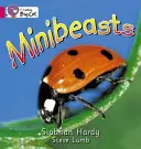 Minibestias - Minibeasts