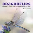 Libélulas: Captura - Identificación - Cómo y dónde viven - Dragonflies: Catching - Identifying - How and Where They Live