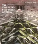 Los escalones desaparecidos de la India - The Vanishing Stepwells of India