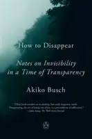 Cómo desaparecer: Notas sobre la invisibilidad en tiempos de transparencia - How to Disappear: Notes on Invisibility in a Time of Transparency