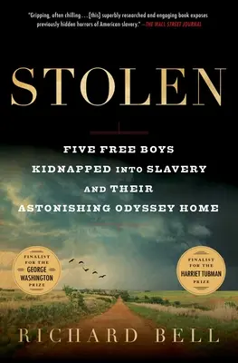 Stolen: Cinco niños libres secuestrados en la esclavitud y su asombrosa odisea de vuelta a casa - Stolen: Five Free Boys Kidnapped Into Slavery and Their Astonishing Odyssey Home