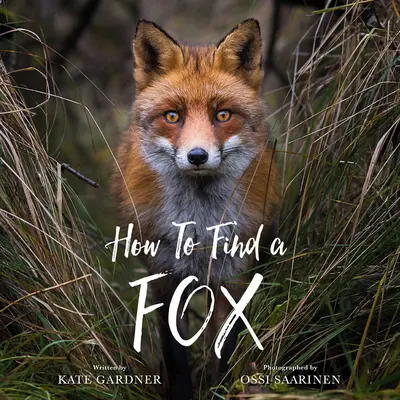 Cómo encontrar un zorro - How to Find a Fox