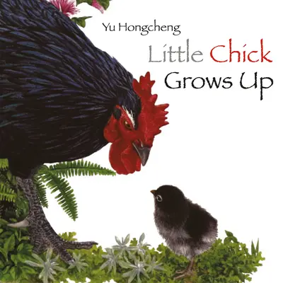 El pollito crece - Little Chick Grows Up