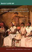 La vida cotidiana de los esclavos afroamericanos en el Sur de Antebellum - Daily Life of African American Slaves in the Antebellum South