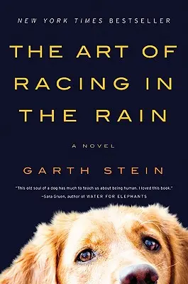 El arte de correr bajo la lluvia - The Art of Racing in the Rain