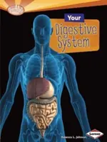 Su sistema digestivo - Your Digestive System