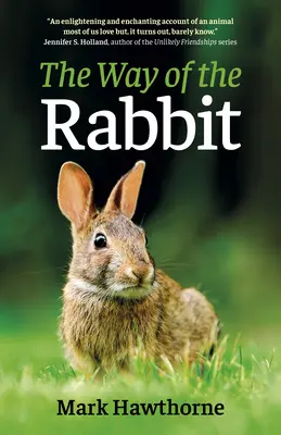 El camino del conejo - The Way of the Rabbit