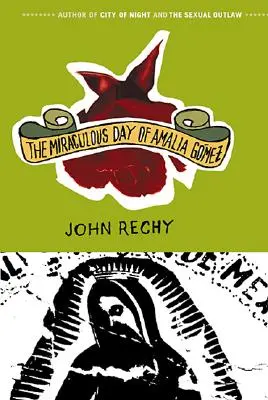 El día milagroso de Amalia Gmez - The Miraculous Day of Amalia Gmez