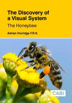 El descubrimiento de un sistema visual - La abeja melífera - The Discovery of a Visual System - The Honeybee