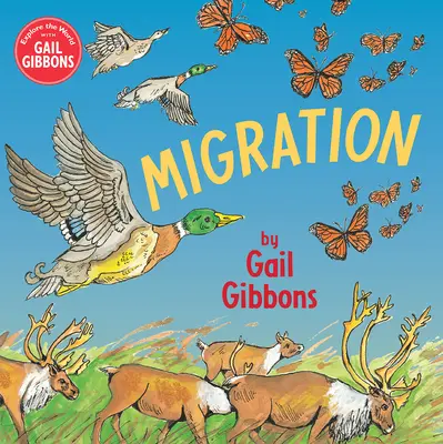 Migración - Migration