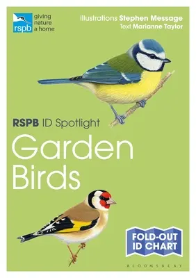 Rspb Id Spotlight - Aves de jardín - Rspb Id Spotlight - Garden Birds