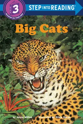 Grandes felinos - Big Cats