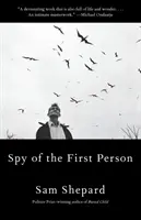 Espía en primera persona - Spy of the First Person